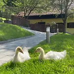 Daire Boutique Farm Hrovat *