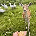 Daire Boutique Farm Hrovat *