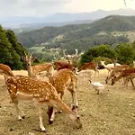 Boutique Farm Hrovat