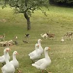 Boutique Farm Hrovat Frankolovo