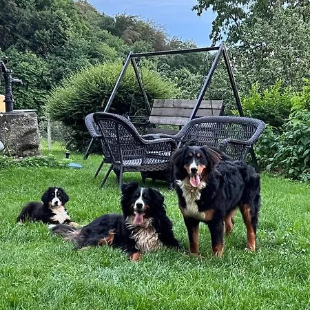 Apartmán Boutique Farm Hrovat Frankolovo