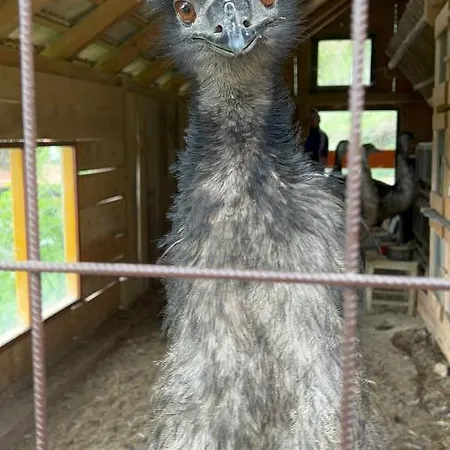 Boutique Farm Hrovat