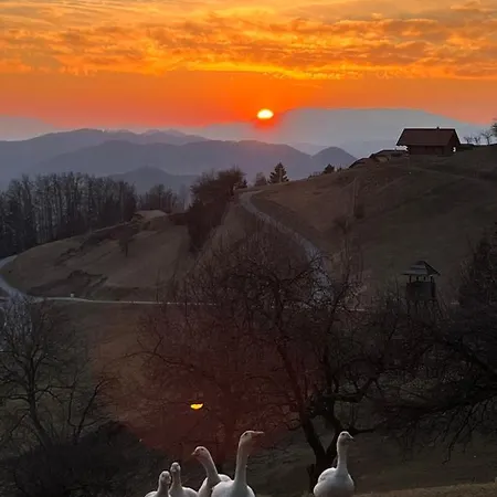 Boutique Farm Hrovat Apartamento *