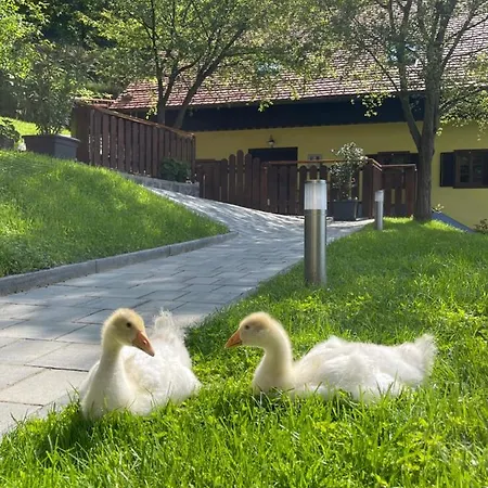 公寓 Boutique Farm Hrovat *