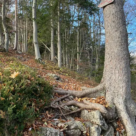 Boutique Farm Hrovat