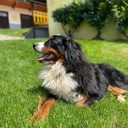 Boutique Farm Hrovat Frankolovo