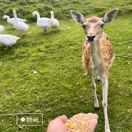 Apartamento Boutique Farm Hrovat *