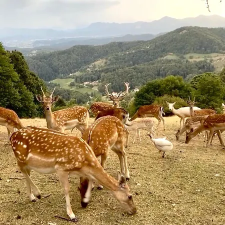 Boutique Farm Hrovat