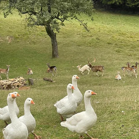 Boutique Farm Hrovat Frankolovo