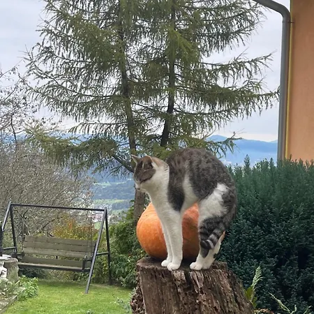 Boutique Farm Hrovat Appartement