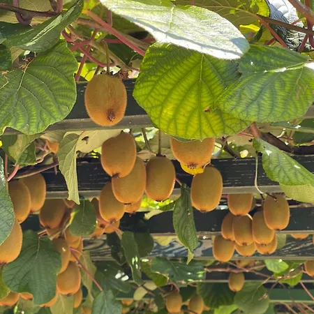 Boutique Farm Hrovat * Frankolovo