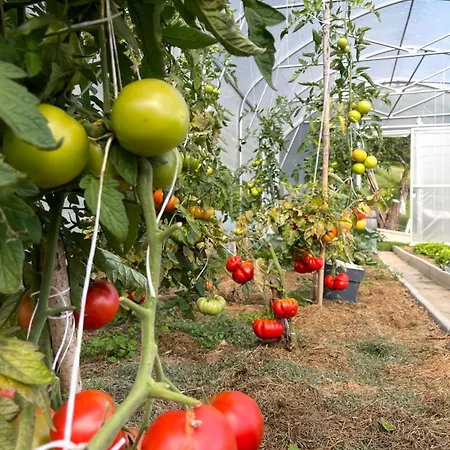 Boutique Farm Hrovat *