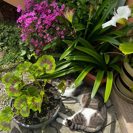 Boutique Farm Hrovat * Frankolovo