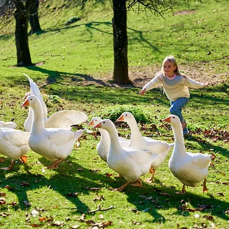 Boutique Farm Hrovat Διαμέρισμα *