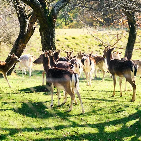 Boutique Farm Hrovat