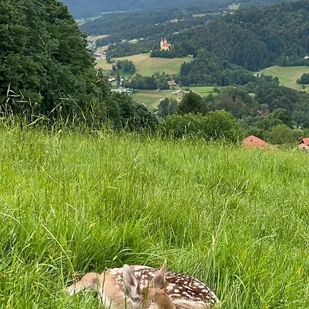 公寓 Boutique Farm Hrovat *