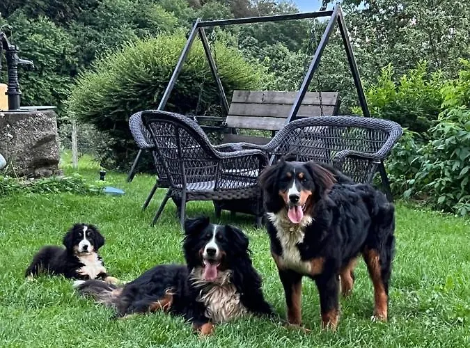 Appartement Boutique Farm Hrovat Frankolovo