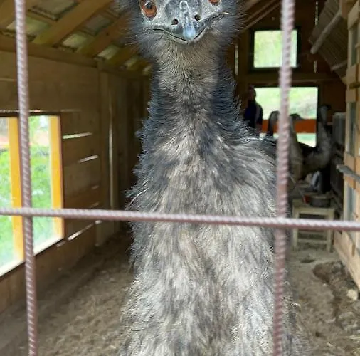 Boutique Farm Hrovat