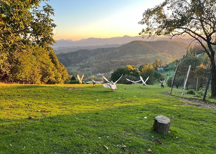 Boutique Farm Hrovat Appartement