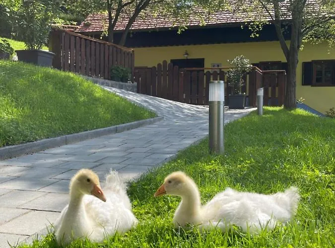 Appartement Boutique Farm Hrovat *