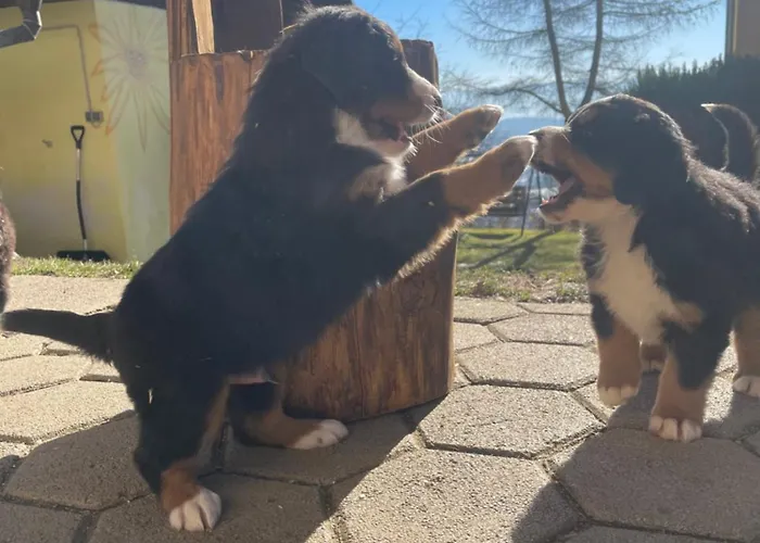 アパート Boutique Farm Hrovat Frankolovo