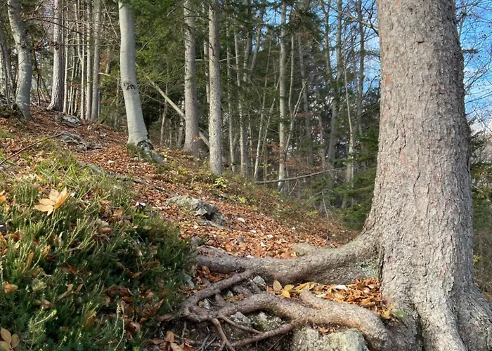 Boutique Farm Hrovat