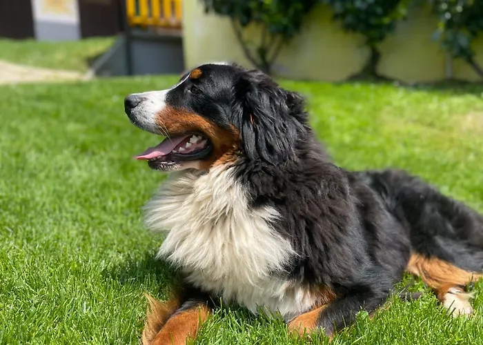 Boutique Farm Hrovat Frankolovo