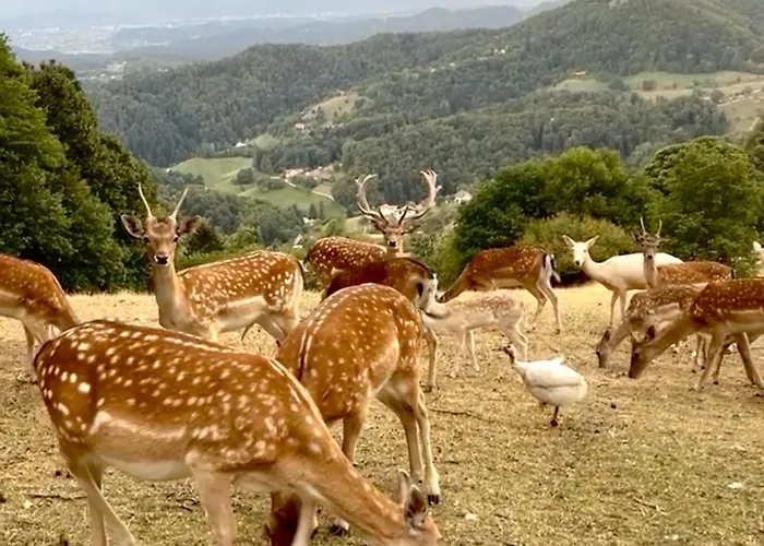 Boutique Farm Hrovat