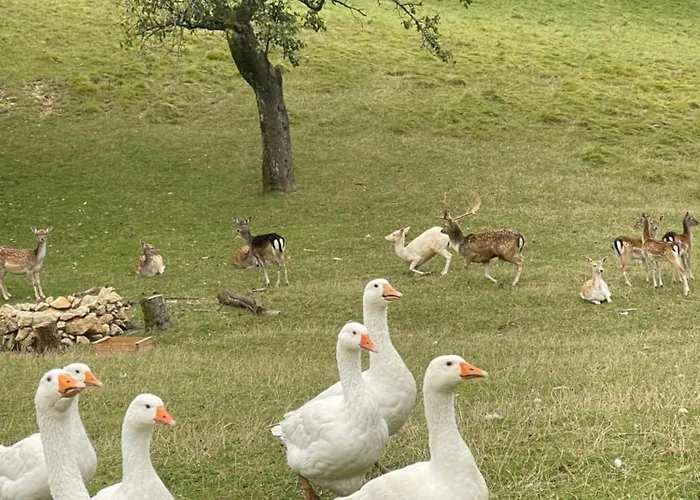 Boutique Farm Hrovat Frankolovo