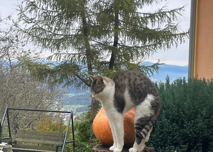 Boutique Farm Hrovat Apartment