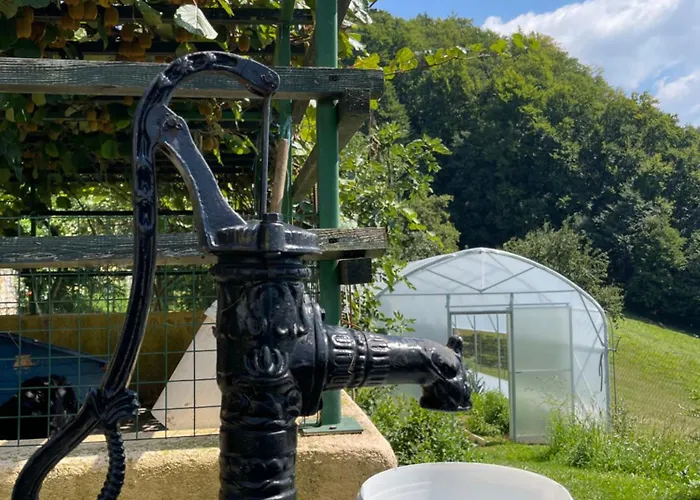 Апартаменты Boutique Farm Hrovat Frankolovo