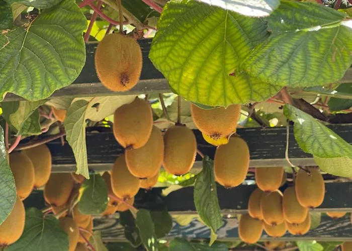 Boutique Farm Hrovat * Frankolovo