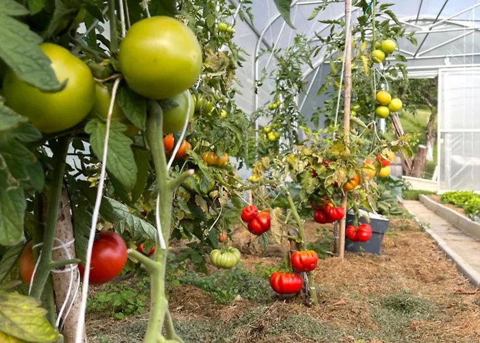 Boutique Farm Hrovat *