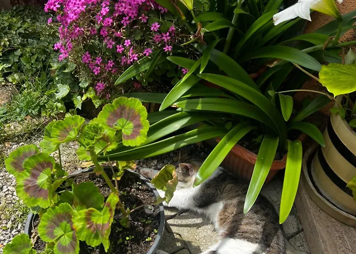 Boutique Farm Hrovat * Frankolovo