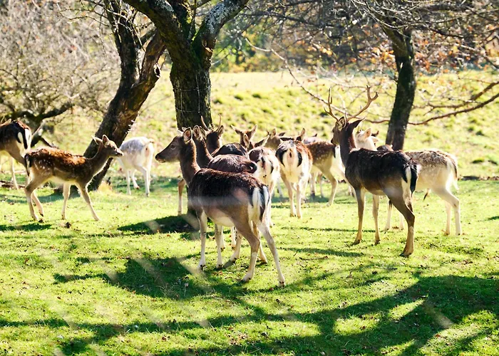 Boutique Farm Hrovat